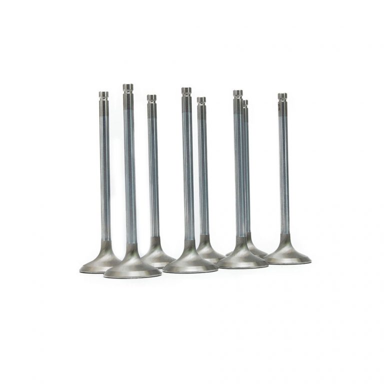 FUJI Racing Stainless Steel Exhaust Valves - Subaru